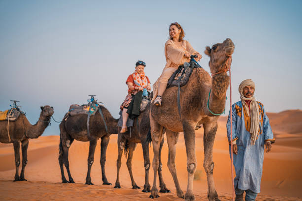 Camel caravan crossing the Timlalin dunes with the Atlantic coastline in the background.