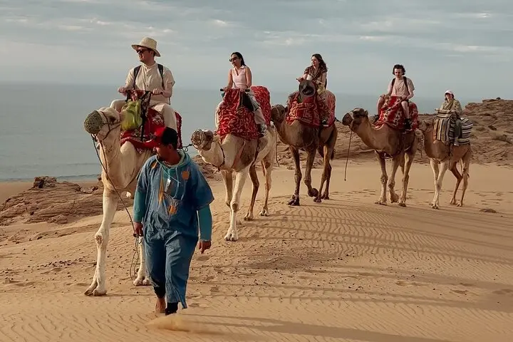 Camel ride through the golden Timlalin Dunes near Agadir with panoramic Atlantic Ocean views.