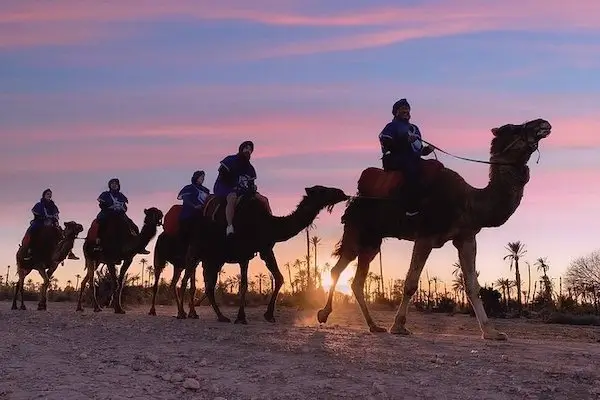 Couple enjoying a sunset camel ride in Timlalin Dunes near Taghazout.